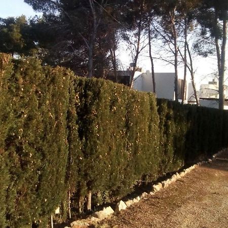 Ferienwohnung Pinomar Teulada Exterior foto